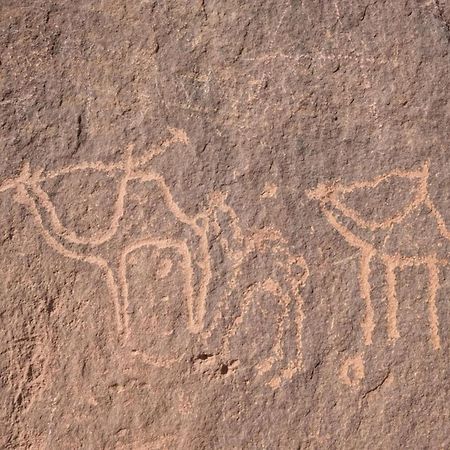 Wadi Rum Albasli Kültér fotó