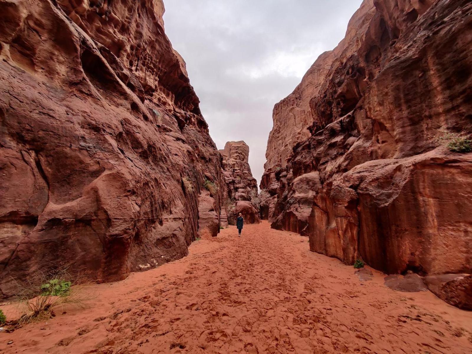 Wadi Rum Albasli Kültér fotó